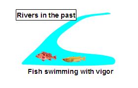 Rivers in the past: Fish swimming with vigor.