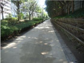 Photo 2: Application of soil pavement on an actual road 