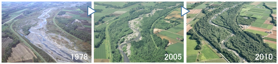 Photo-1 Thick, extensive tree growth and established watercourses on the Satsunai River