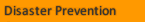 Disaster Prevention