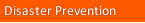 Disaster Prevention