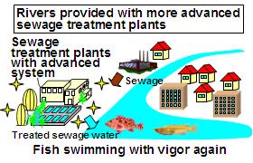 State-of-the-art sewage treatment plant: Fish swimming with vigor again.