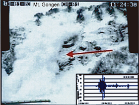 Maseguchi district: Jan. 3, 2003(Image of all-layer avalanche and avalanche-related seismic data)