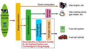 Methods for using biomass