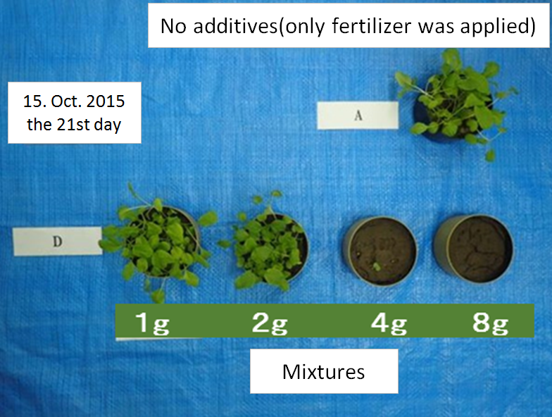 click to enlarge Fig.2 A cultivation experiment result
