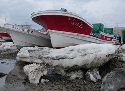 click to enlarge Photo 1 Run-up sea ice due to the tsunami generated by the 2011 Off the Pacific Coast of Tohoku Earthquake