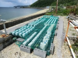 click to enlarge Figure 1 Durability verification test of low-carbon concrete