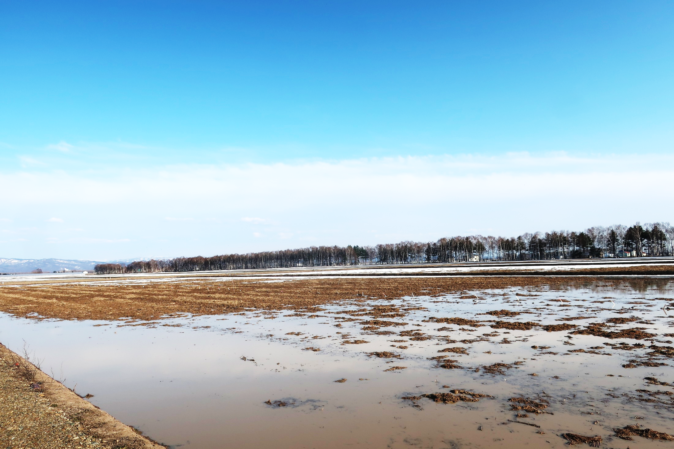 click to enlarge Photo 1 A paddy field with uneven subsidence