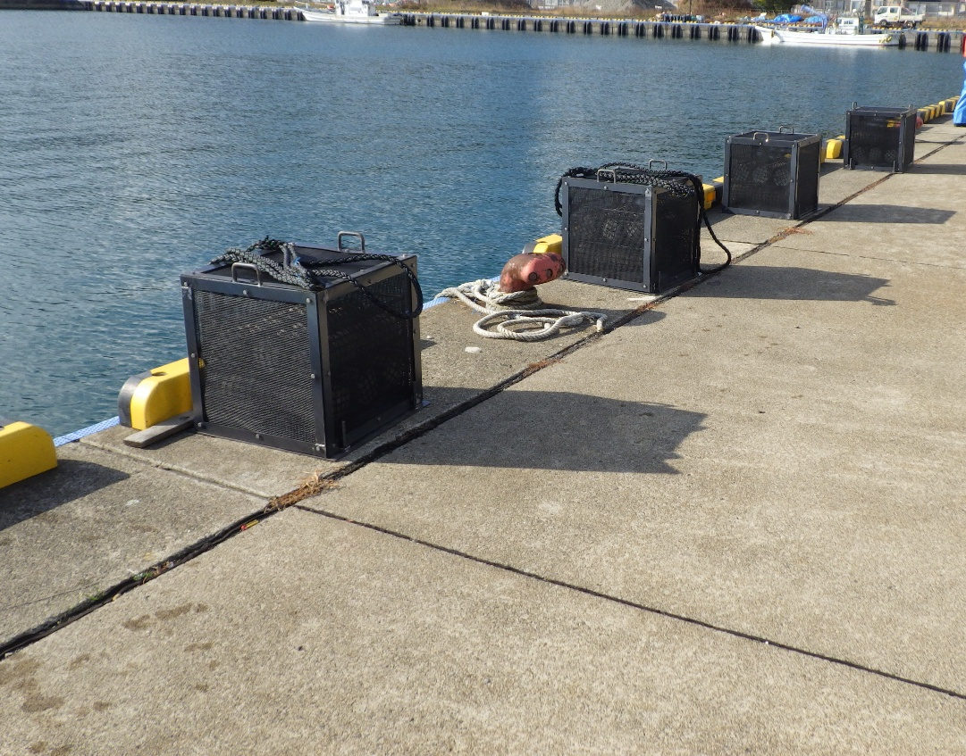 click to enlarge Photo 1<br>Sea Cucumber Cradles before installation