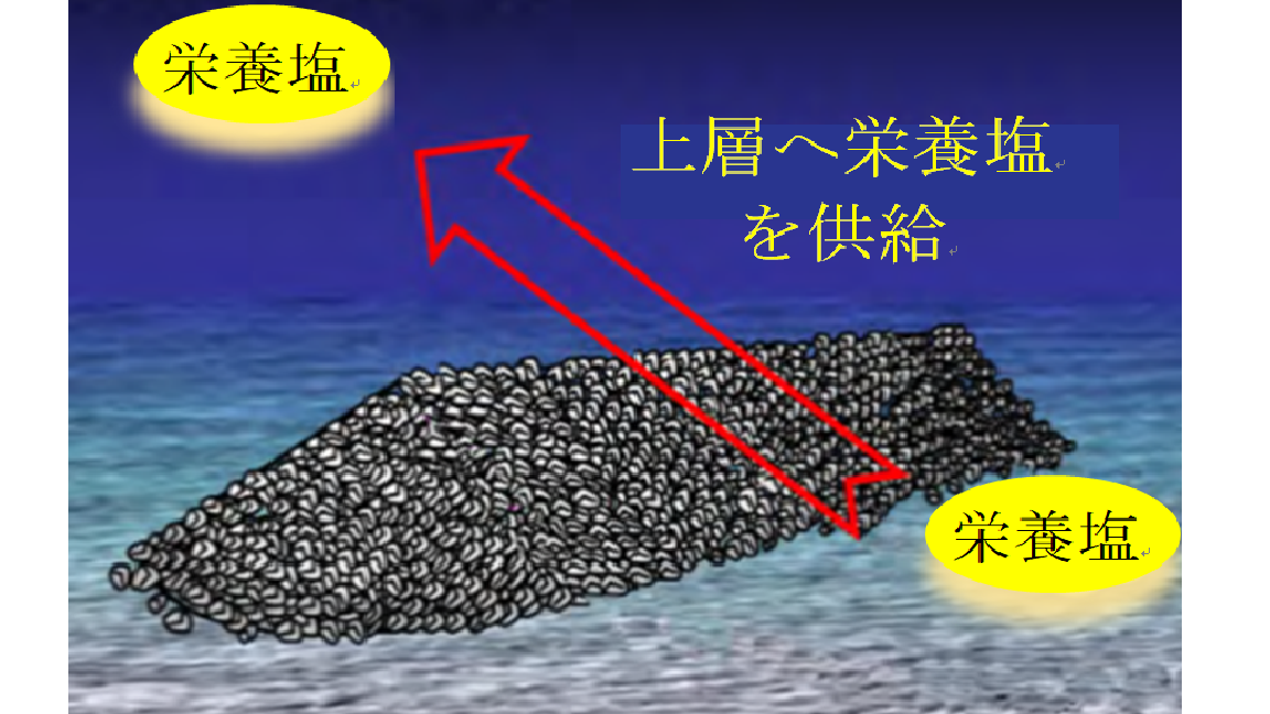 図-1  マウンド礁のイメージ図
