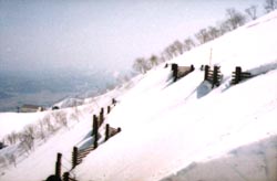 鉛直型雪崩予防柵雪圧調査の本格実施