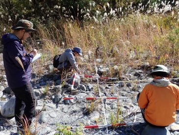 自然共生研究センターのメンバーと河原の植物の調査をしている様子