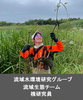 流域水環境研究グループ 流域生態チーム 槐 研究員