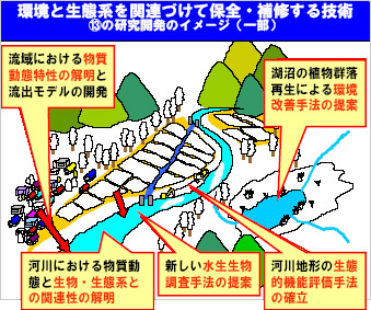 環境と生態系を関連づけて保全・補修する技術