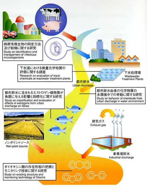 水環境における水質リスク評価に関する研究