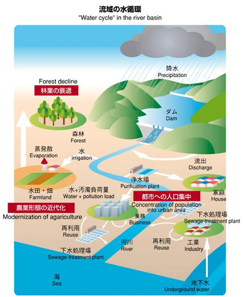 流域における総合的な水循環モデルに関する研究