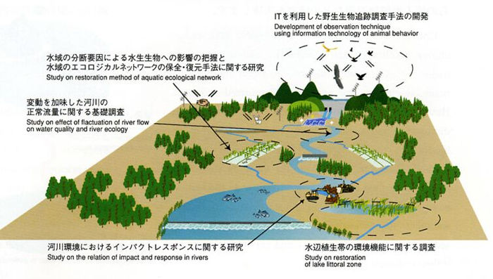 河川・湖沼における自然環境復元技術