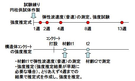 図1 円柱供試体による強度推定式の作成のための試験材齢と、構造体測定の例