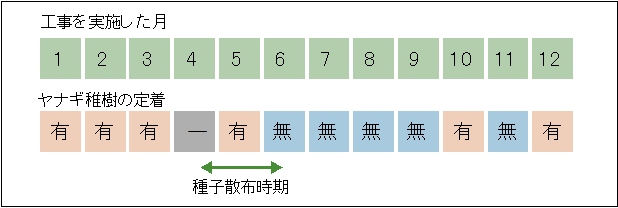 掘削のタイミングに応じたヤナギ類の稚樹の定着の有無