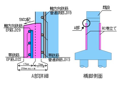 今回の調査対象とした橋脚