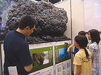 Exhibitions