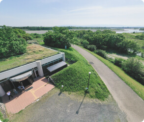 実験河川の空撮写真