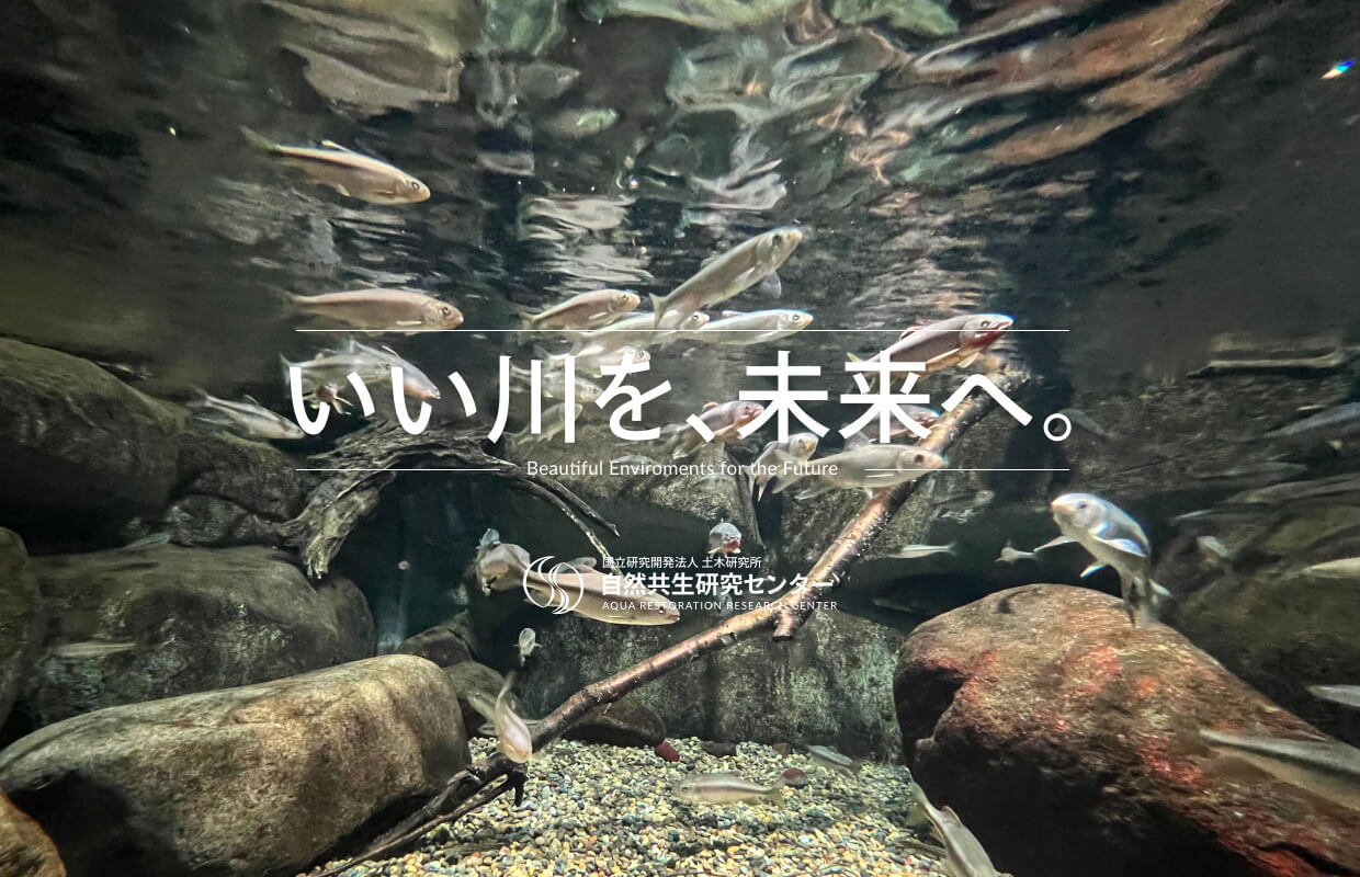 自然共生研究センター「いい川を、未来へ」様々な生命が住まう川を創る