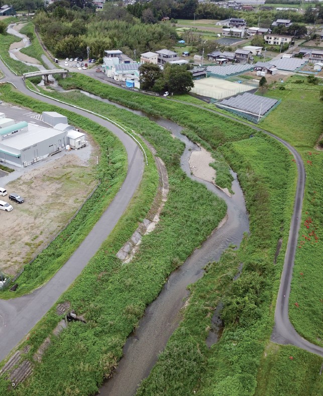 湾曲部や拡幅部では直線部に比べて環境や生物相にどのような違いがありますか？