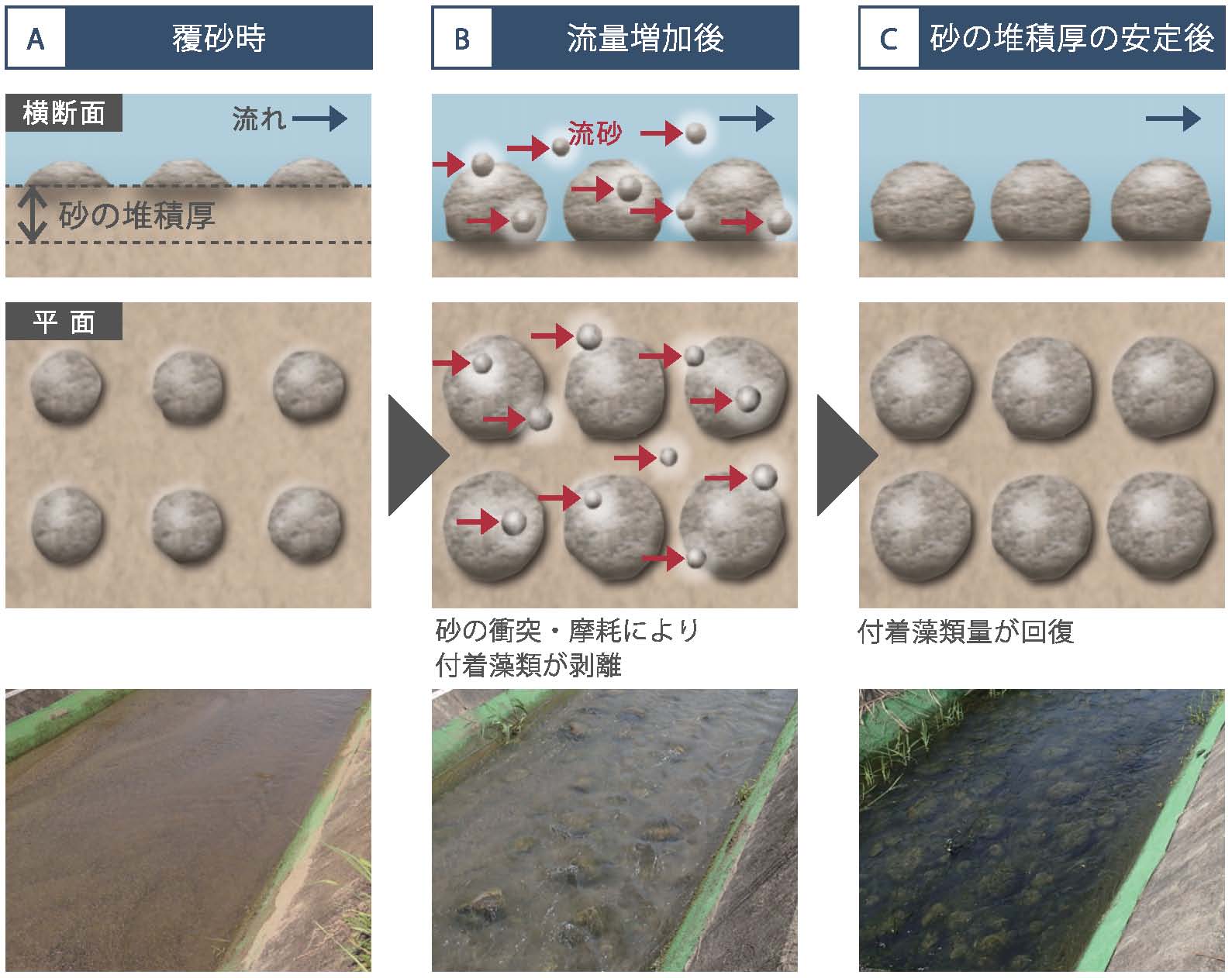 国立研究開発法人 土木研究所 自然共生研究センター