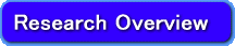 Research Overview